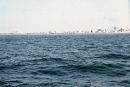 View of Dubai from the Sea